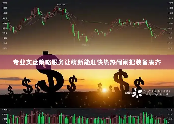 专业实盘策略服务让萌新能赶快热热闹闹把装备凑齐