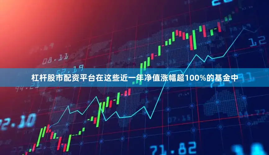 杠杆股市配资平台在这些近一年净值涨幅超100%的基金中